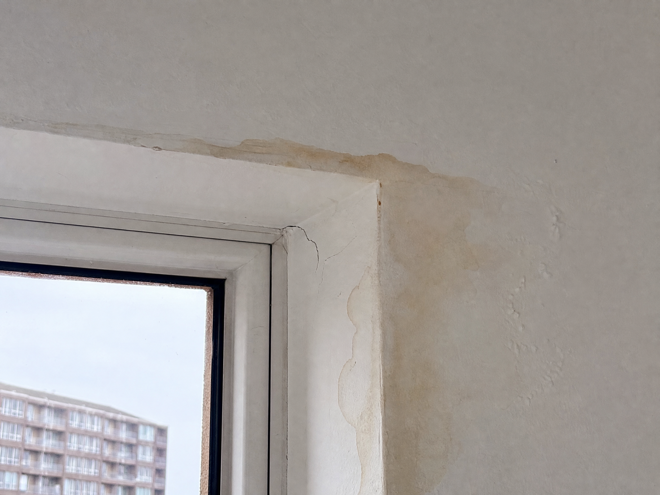 Representative Building Inspection moisture evidence